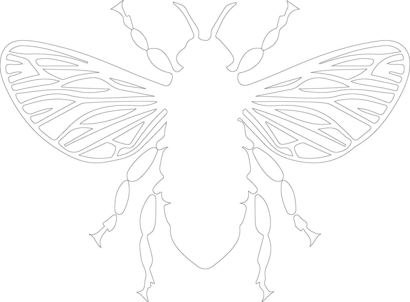 cicada outline silhouette vector