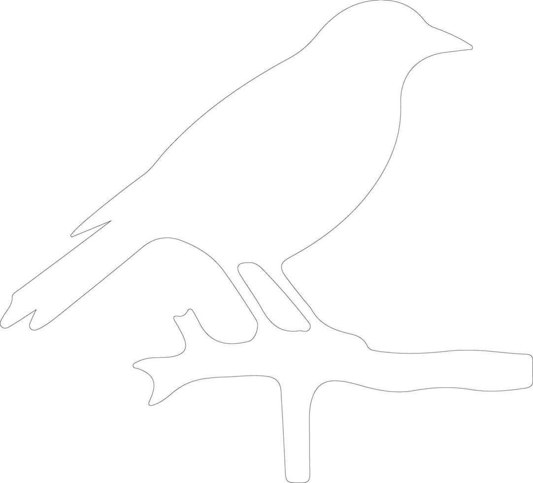bird  outline silhouette vector