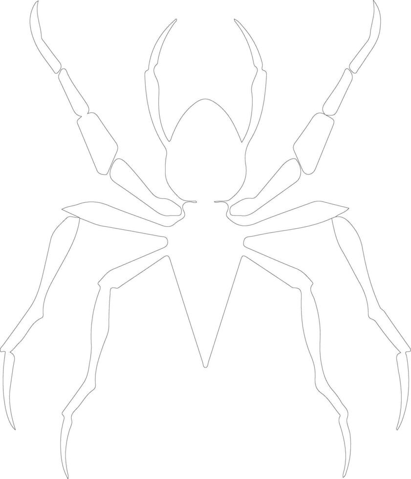 assassin bug outline silhouette vector