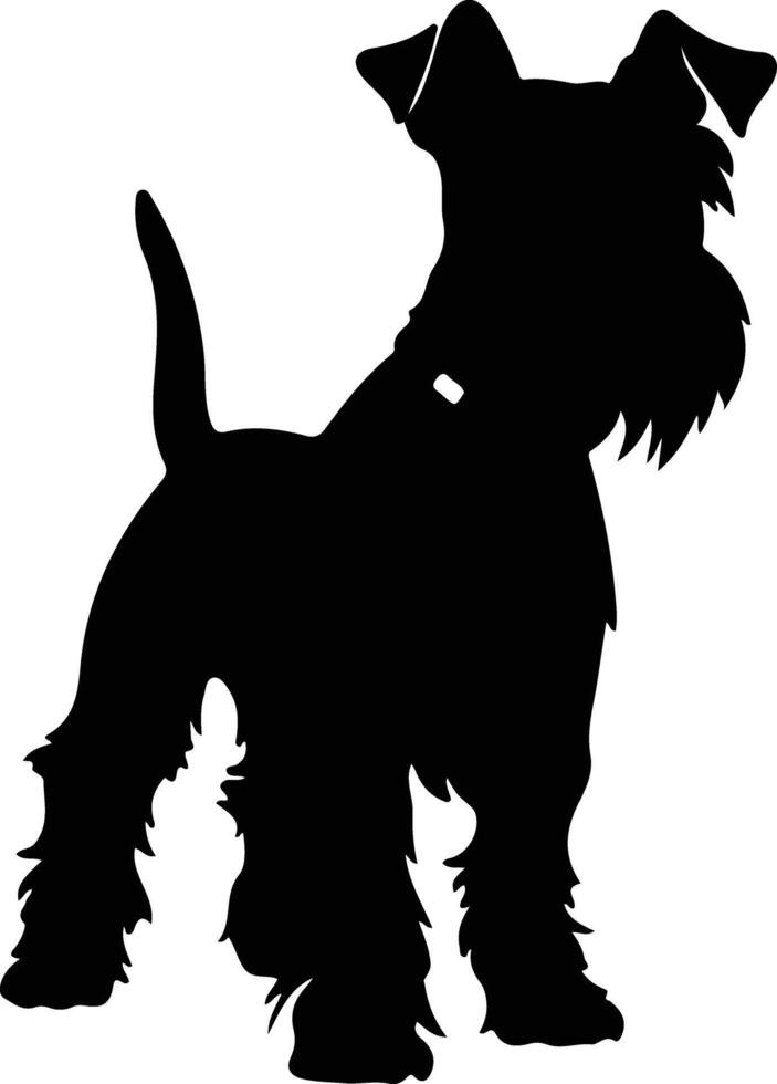 estándar Schnauzer negro silueta vector