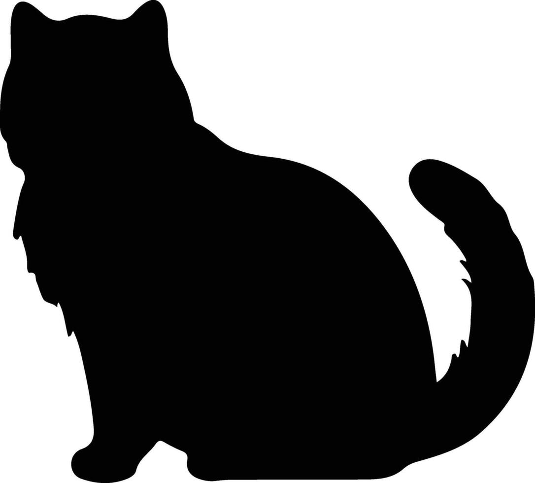 exótico cabello corto gato negro silueta vector