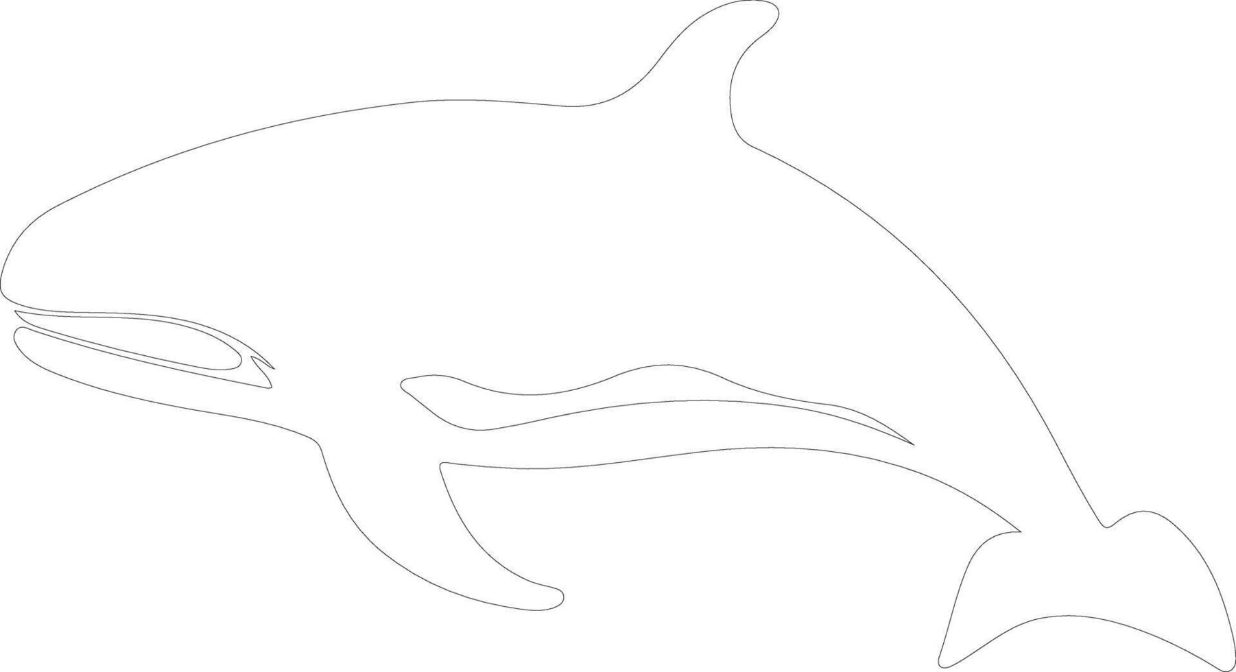 right whale    outline silhouette vector