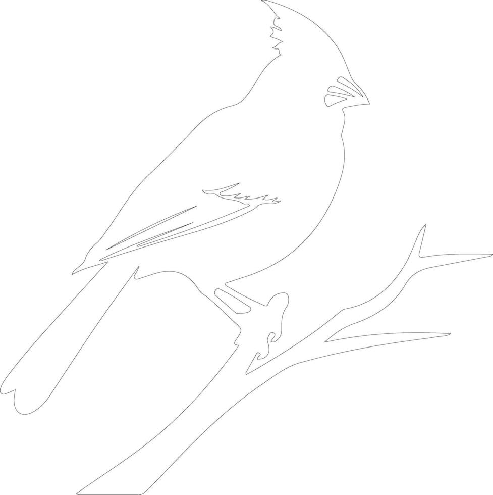 cardinal outline silhouette vector