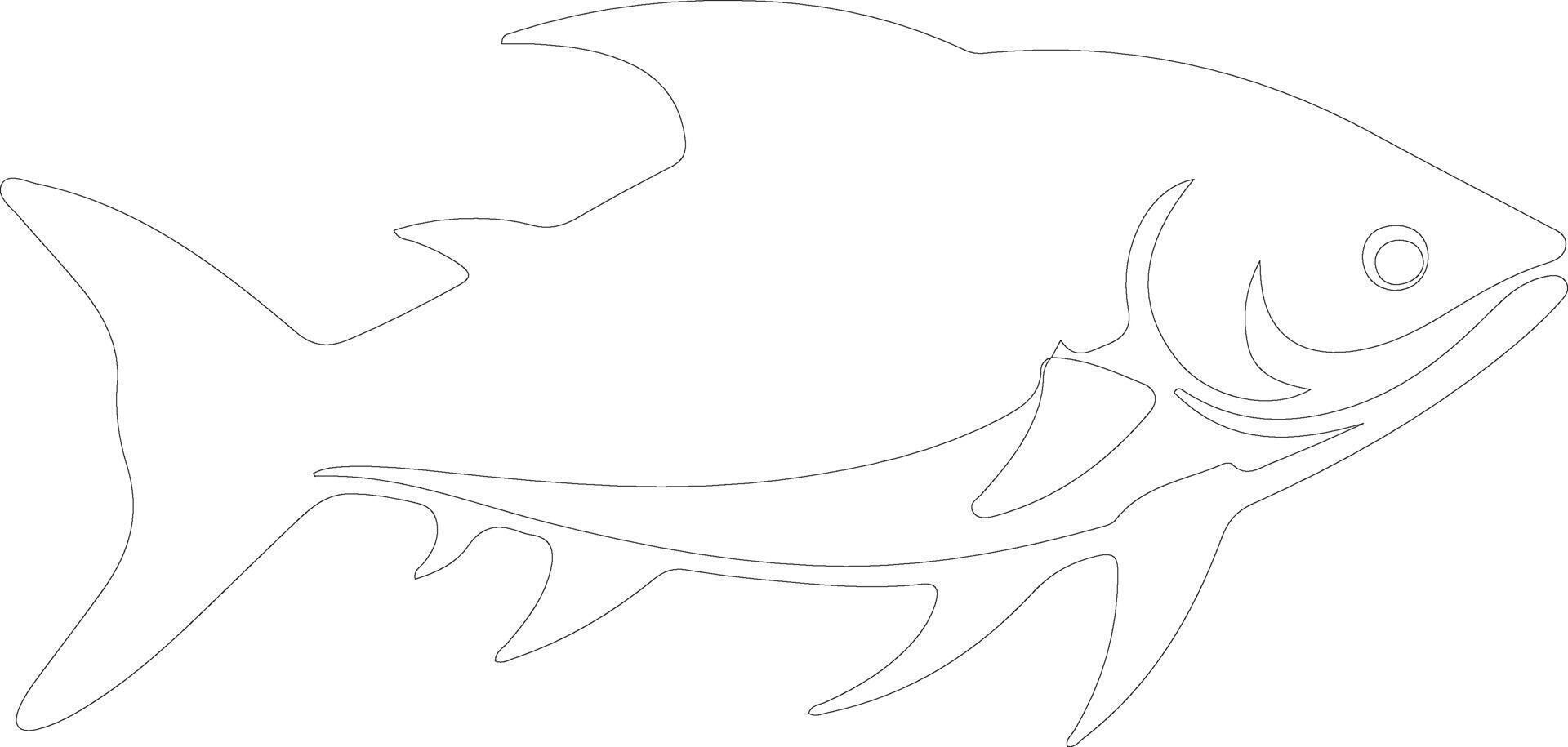 tarpon outline silhouette vector