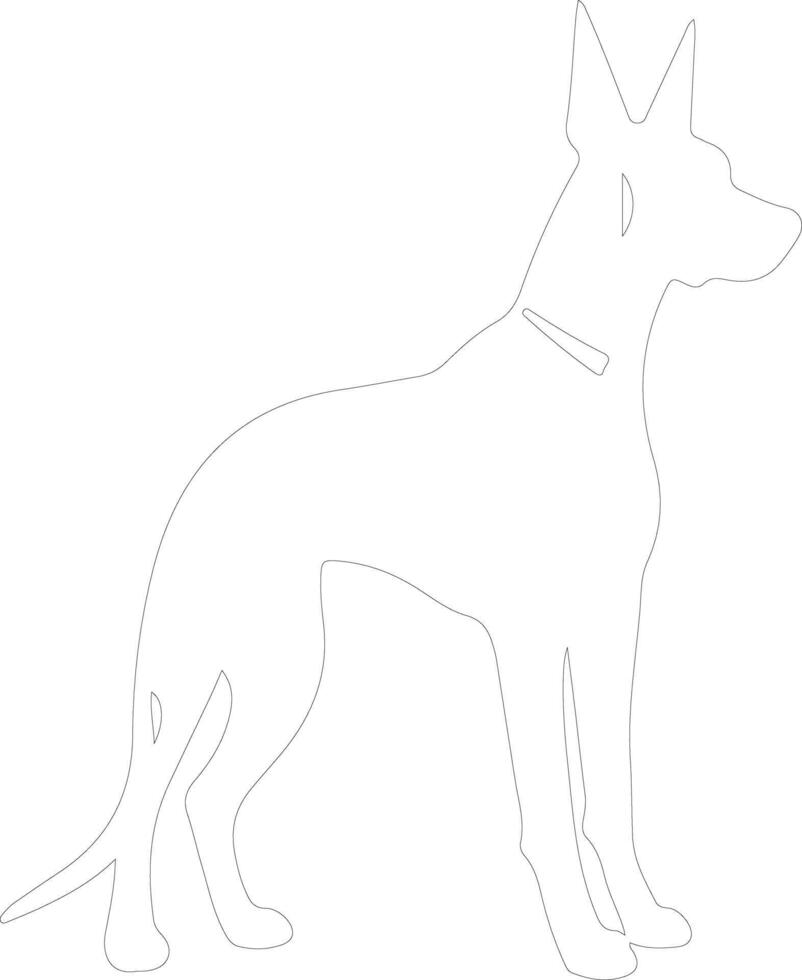 Doberman Pinscher  outline silhouette vector
