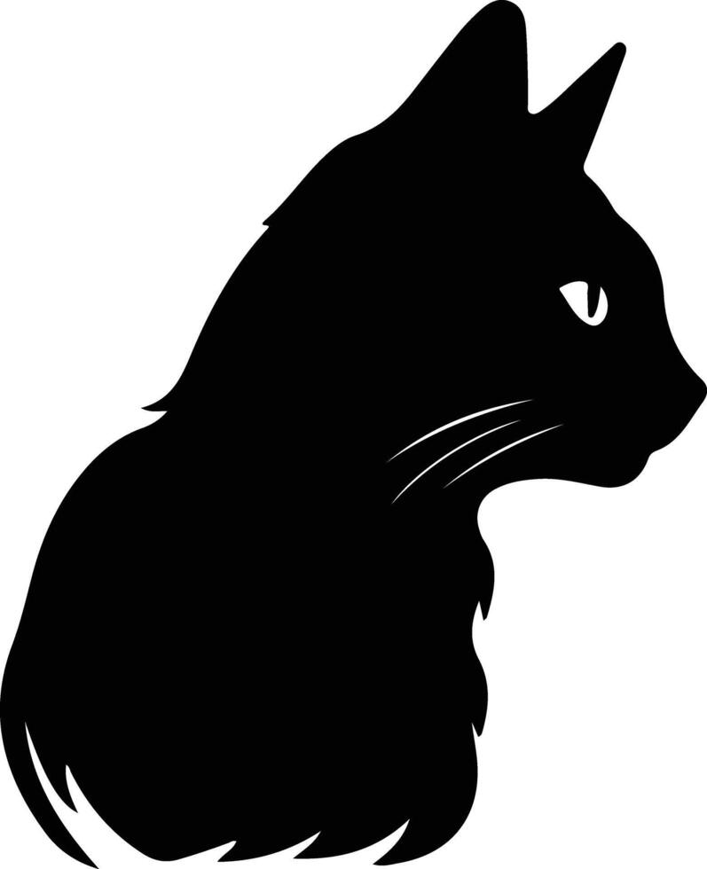European Shorthair Cat  silhouette portrait vector