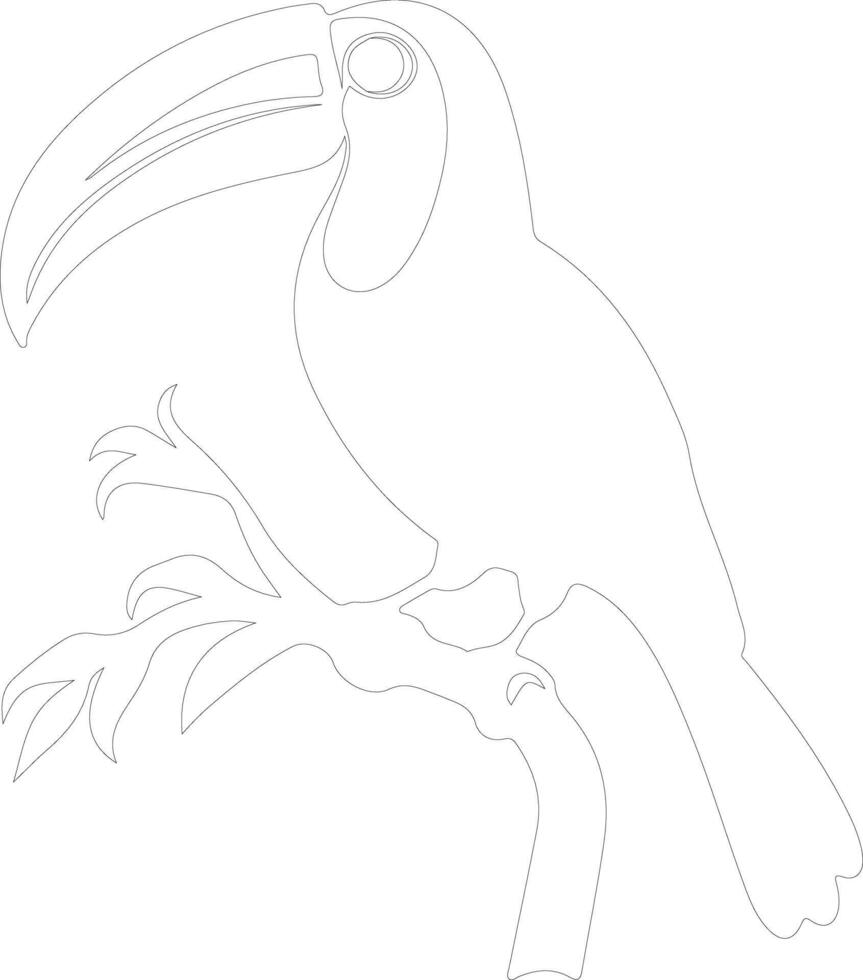 toucan    outline silhouette vector