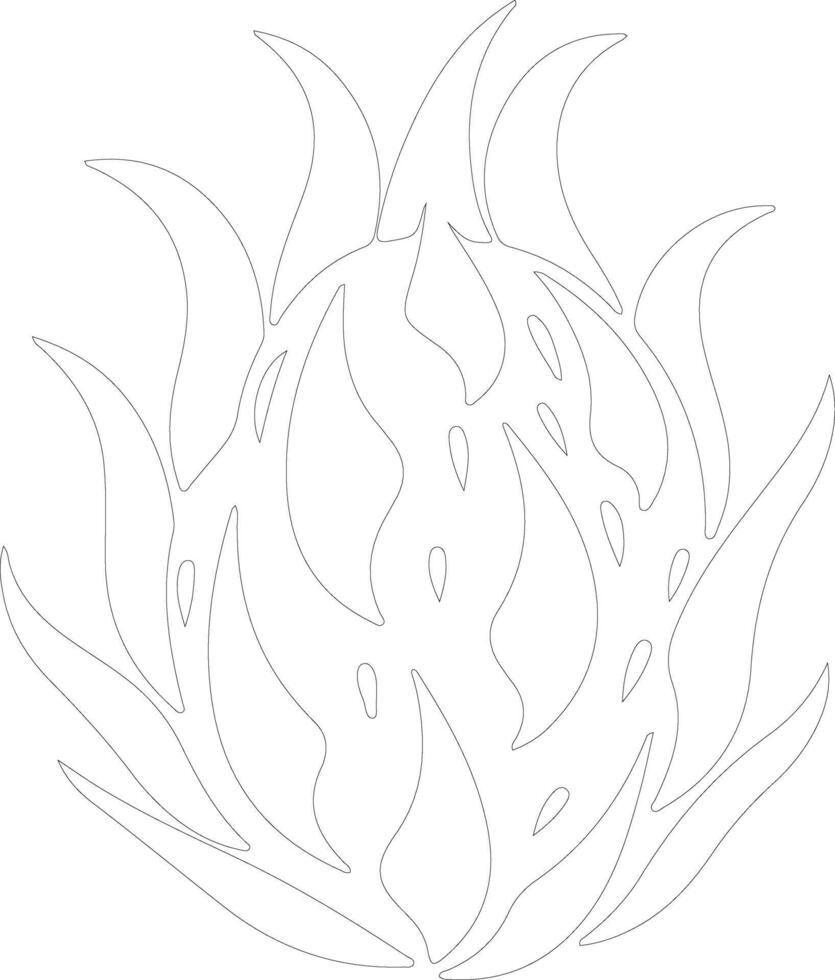 dragon fruit  outline silhouette vector