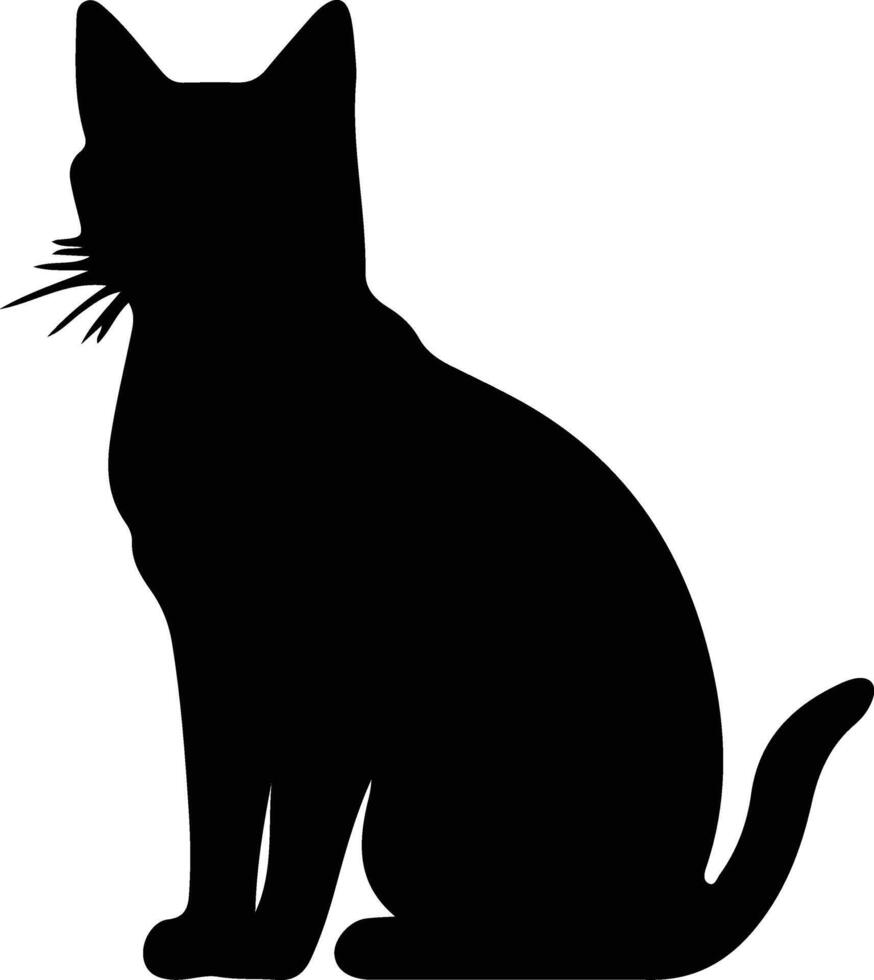 Korat Cat  silhouette portrait vector