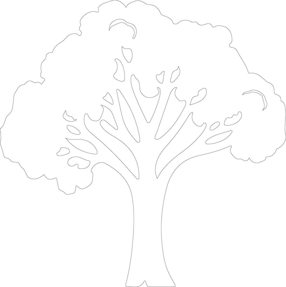 broccoli  outline silhouette vector
