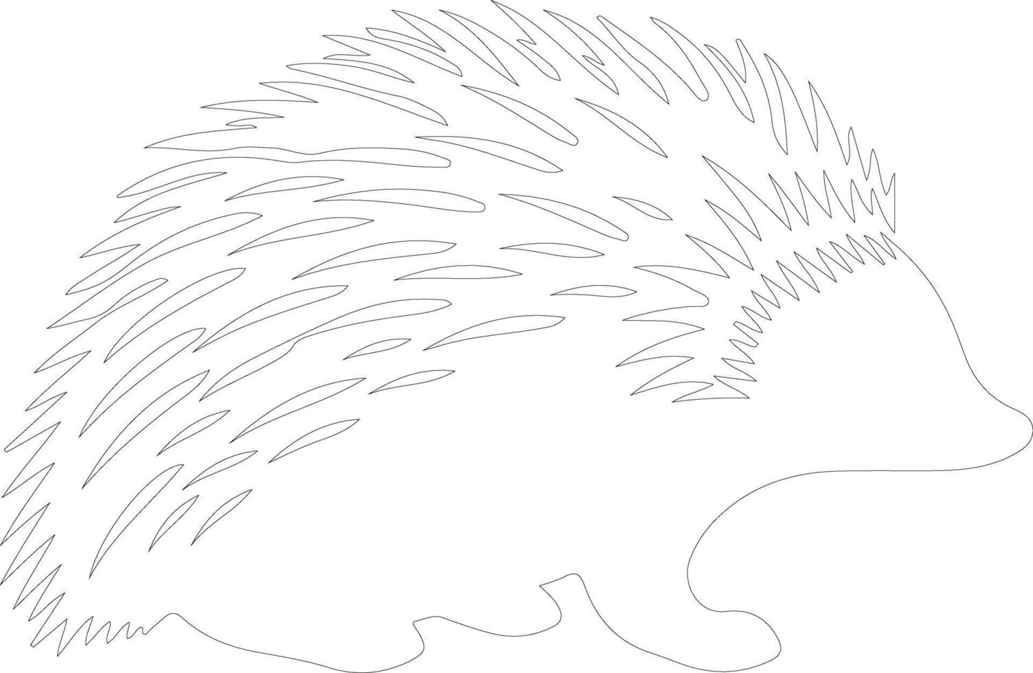 echidna   outline silhouette vector