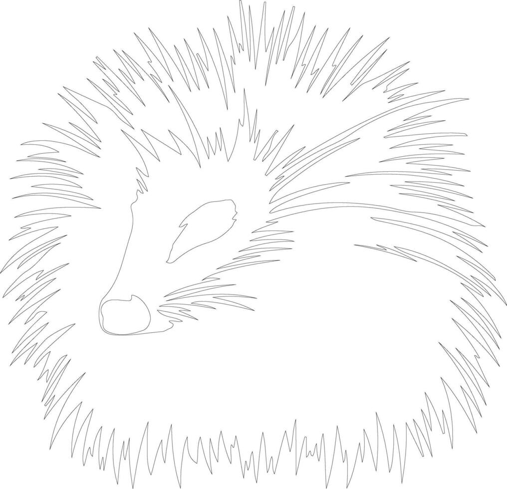 porcupine    outline silhouette vector