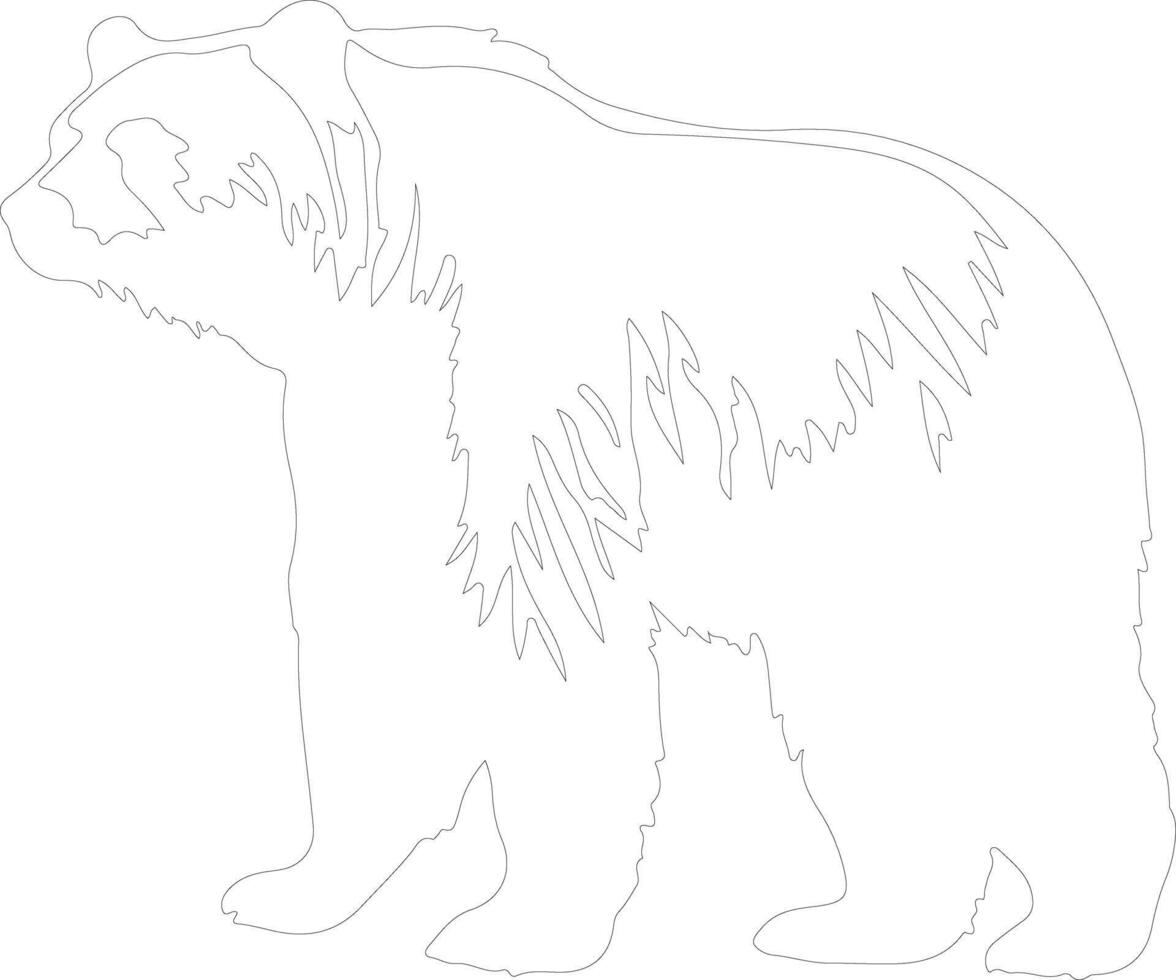 grizzly bear  outline silhouette vector