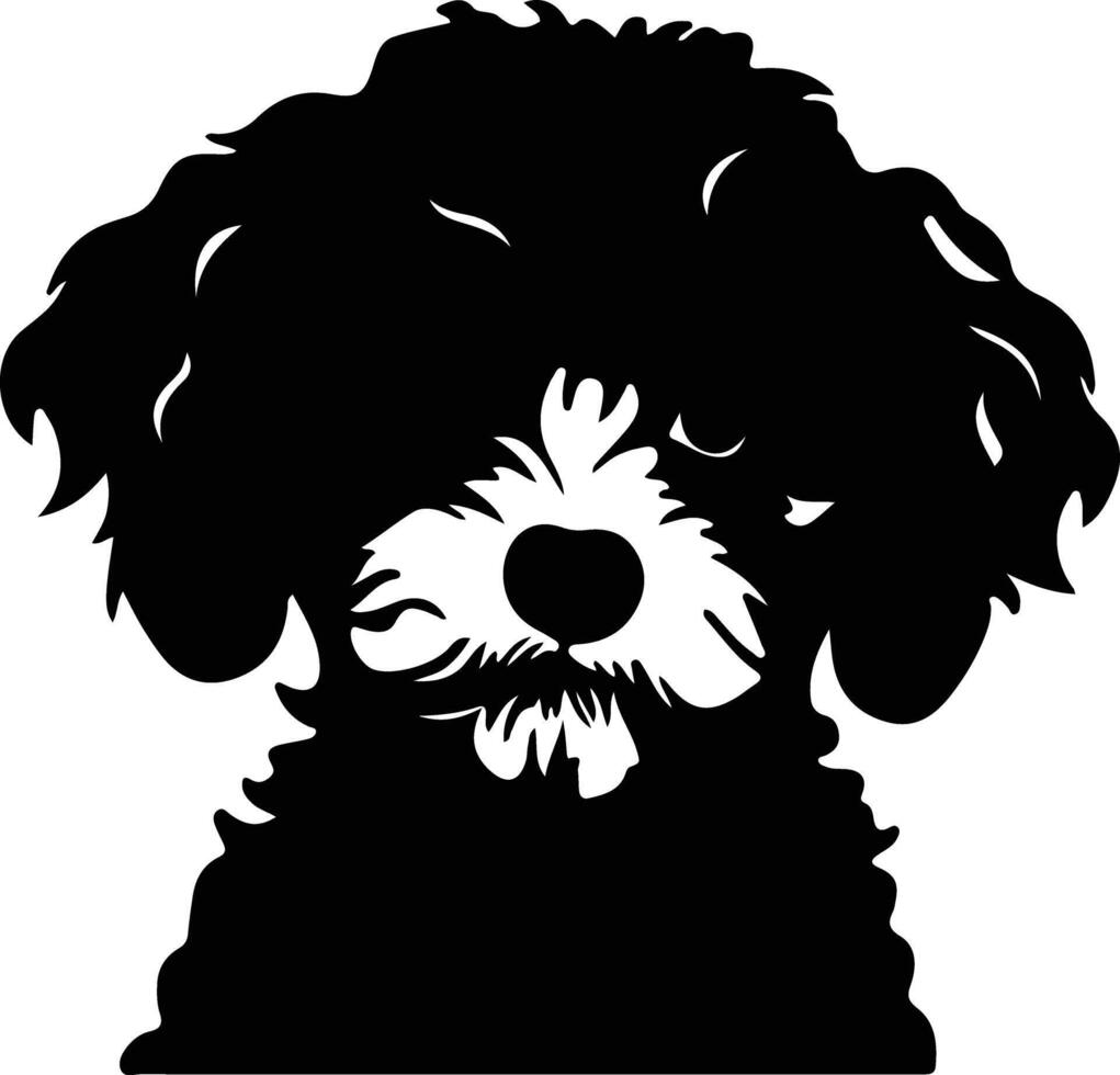 Toy Poodle  silhouette portrait vector