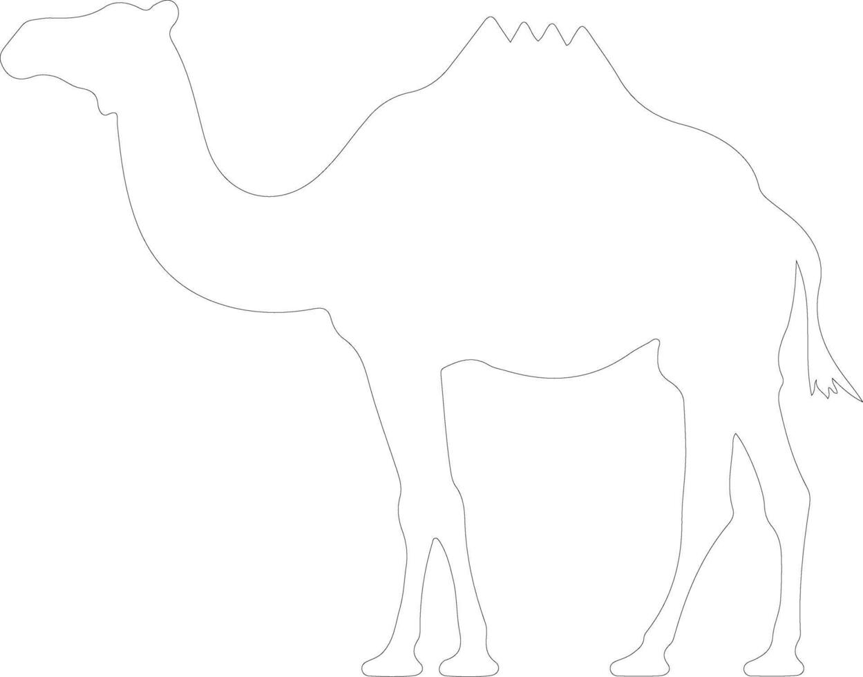 camel outline silhouette vector