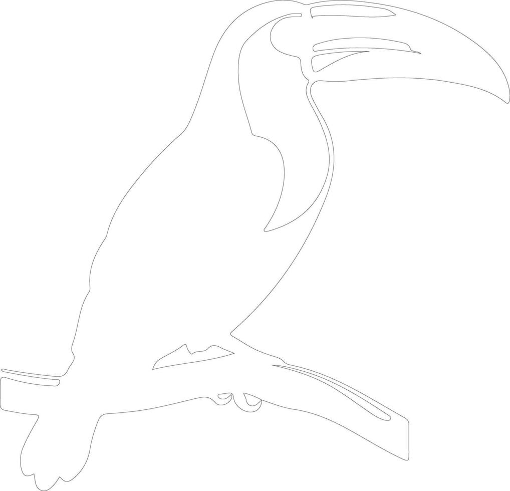 keel-billed toucan  outline silhouette vector