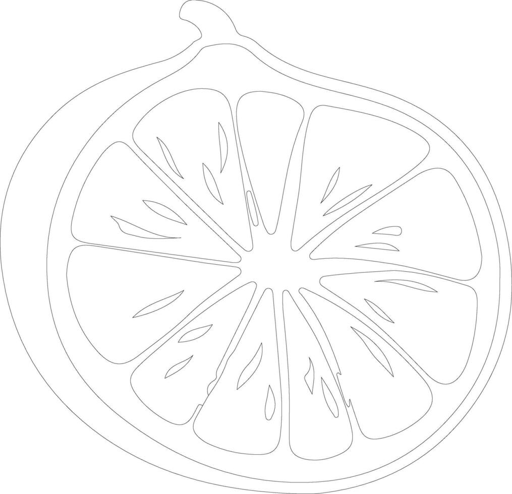 grapefruit  outline silhouette vector