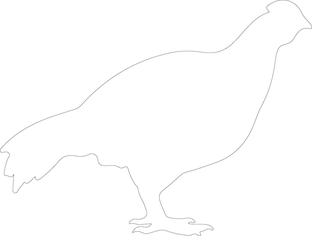 grouse  outline silhouette vector