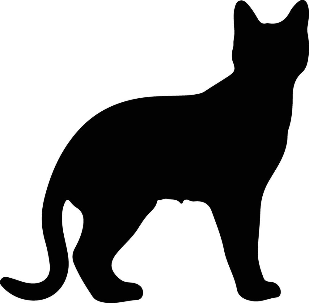 Chausie Cat  black silhouette vector