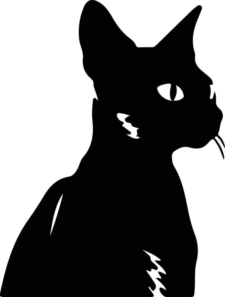 Thai Traditional Siamese Cat  silhouette portrait vector