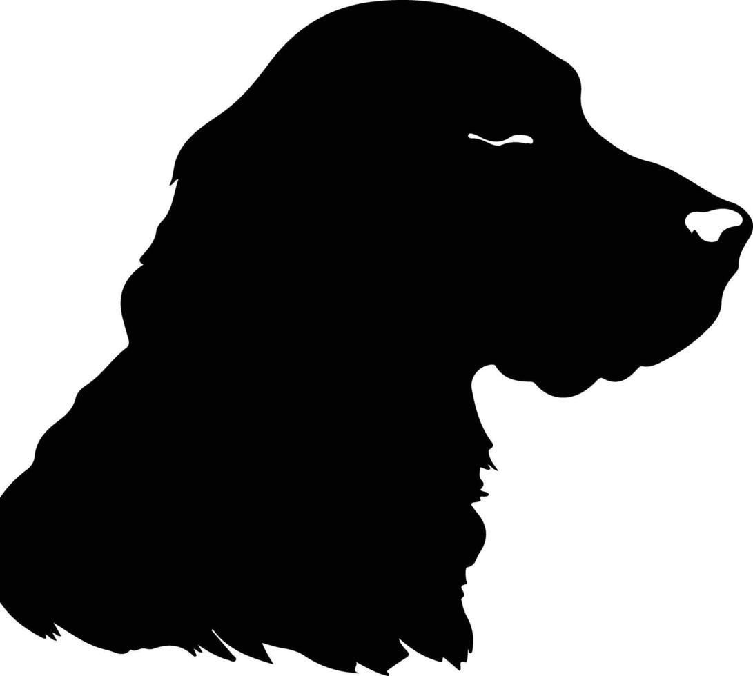 Field Spaniel  silhouette portrait vector