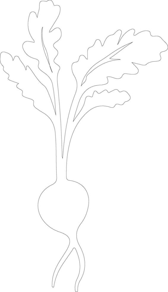 radish  outline silhouette vector
