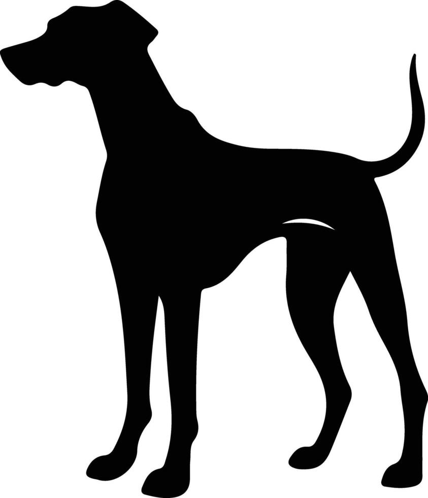 Sloughi    black silhouette vector