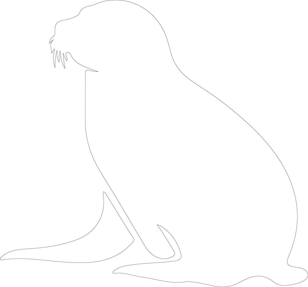 harp seal outline silhouette vector