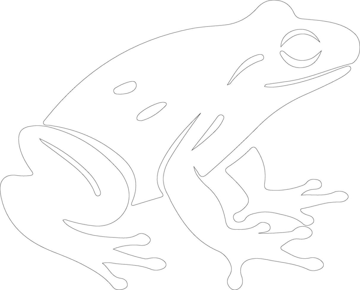 frog   outline silhouette vector