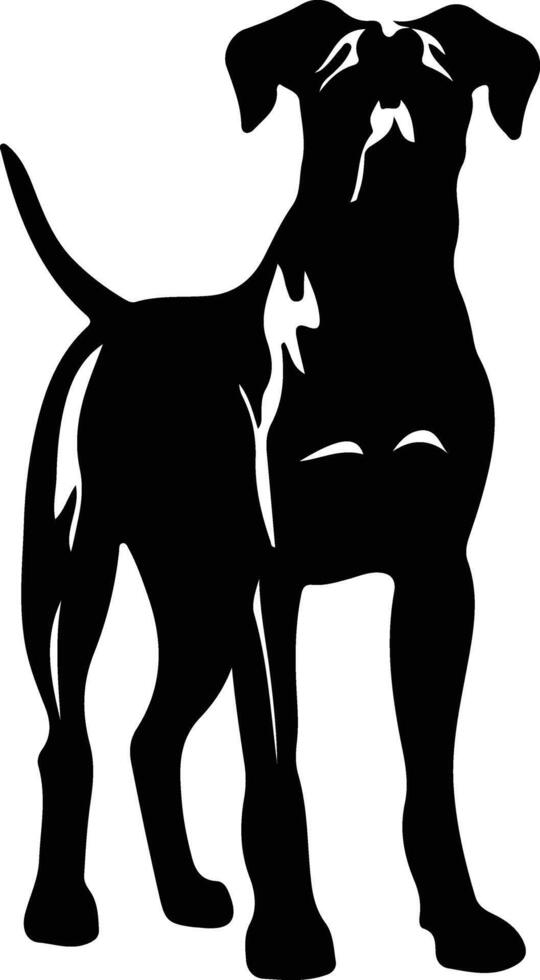 Great Dane  silhouette portrait vector