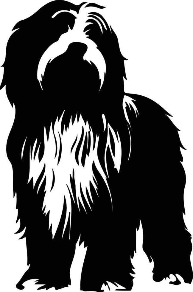 Bearded Collie    black silhouette vector