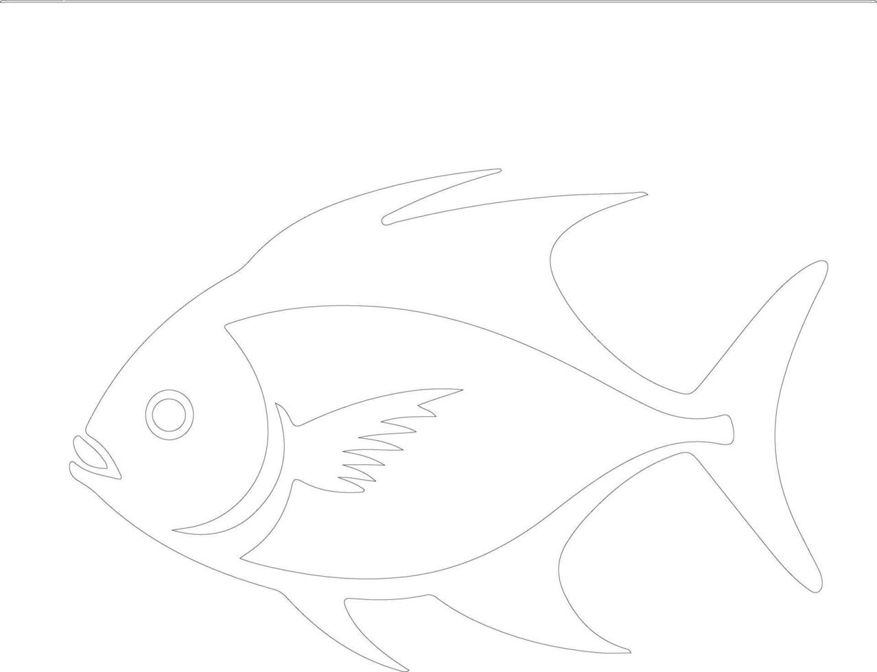 pompano   outline silhouette vector