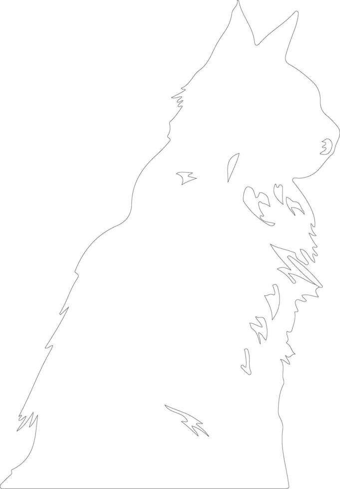 Maine Coon Cat  outline silhouette vector
