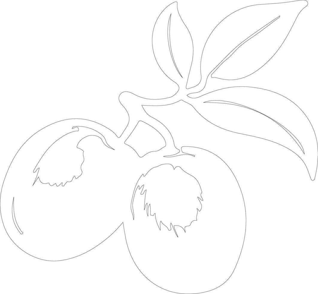 plum  outline silhouette vector