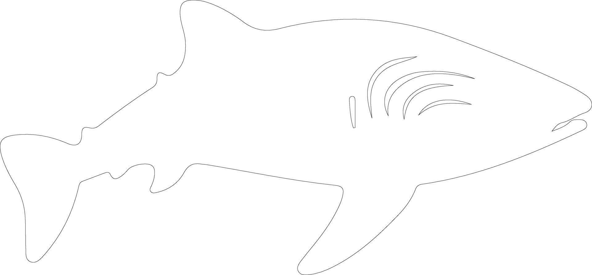 ballena tiburón contorno silueta vector