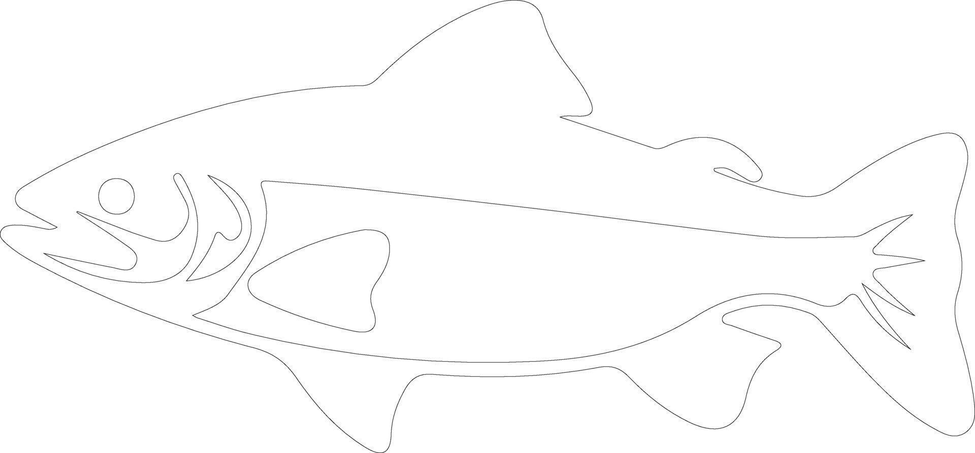 trout    outline silhouette vector
