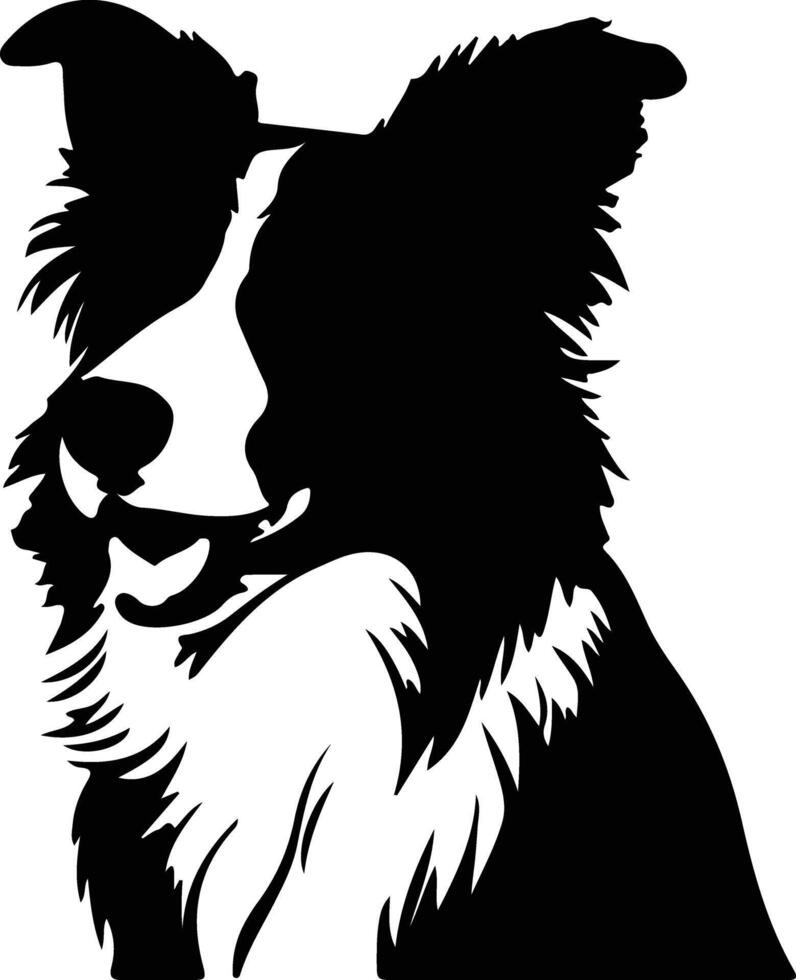 frontera collie negro silueta vector