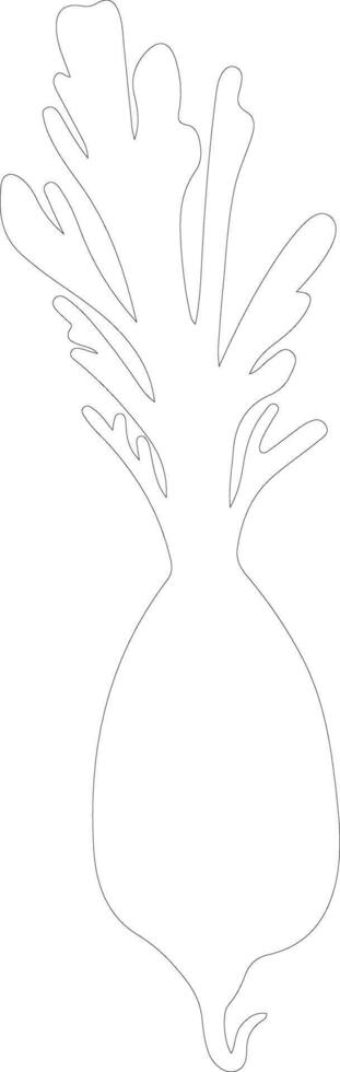 daikon  outline silhouette vector
