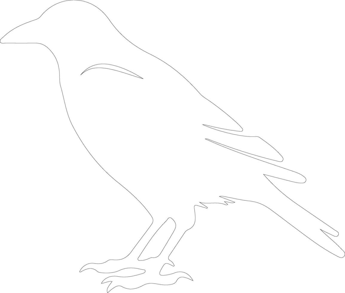 crow outline silhouette vector