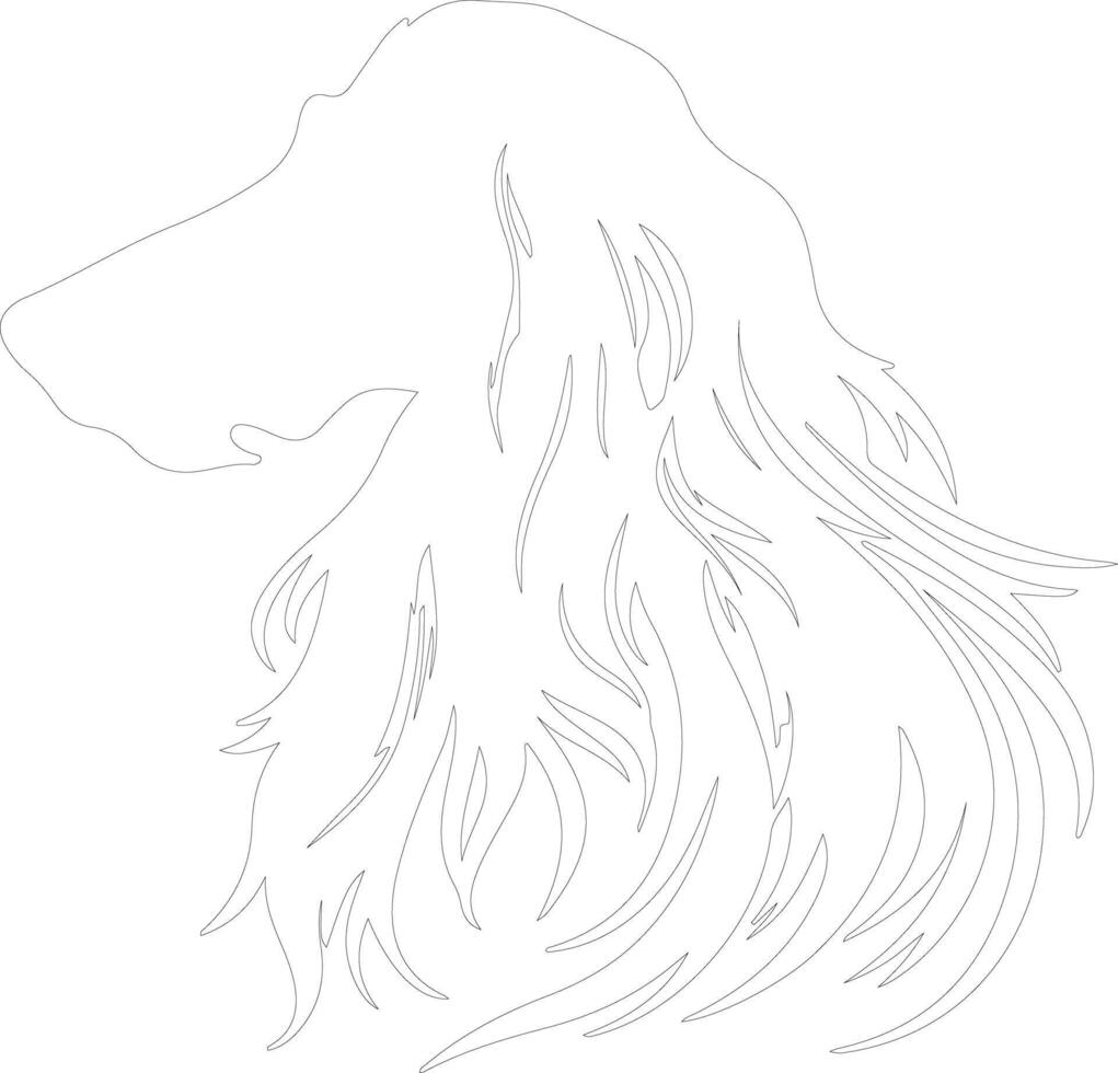 Afghan Hound  outline silhouette vector