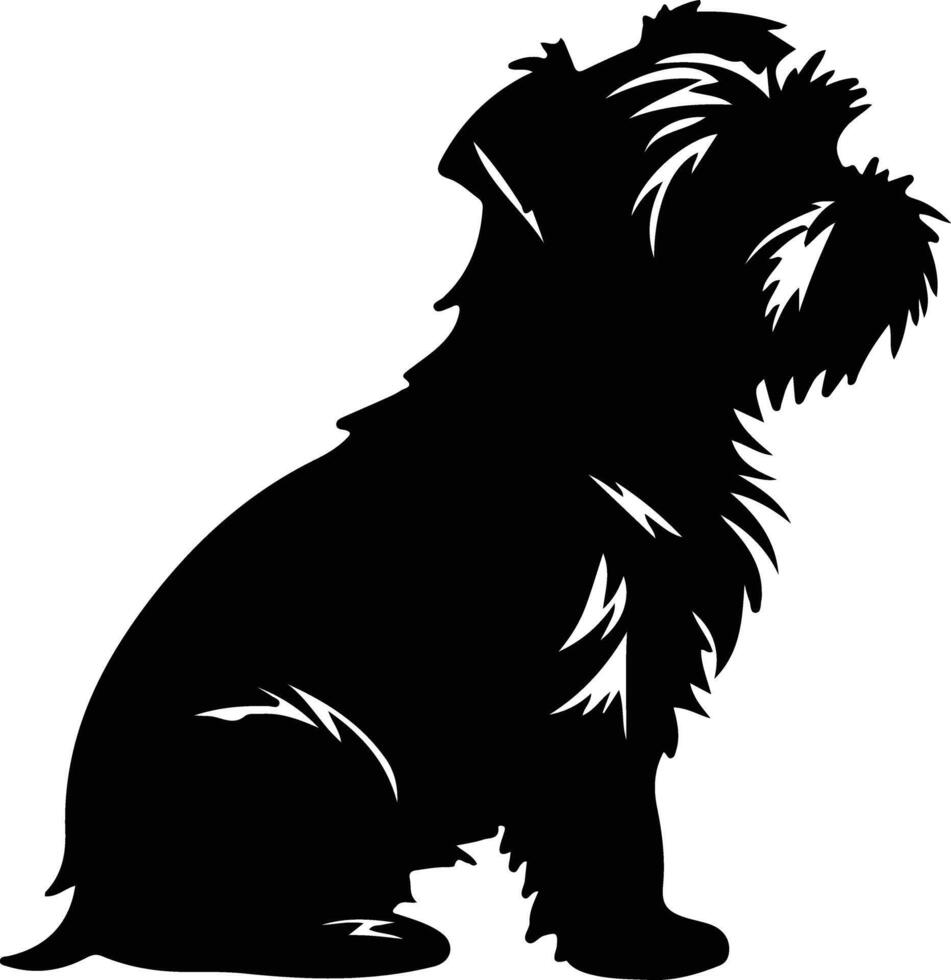 norfolk terrier negro silueta vector