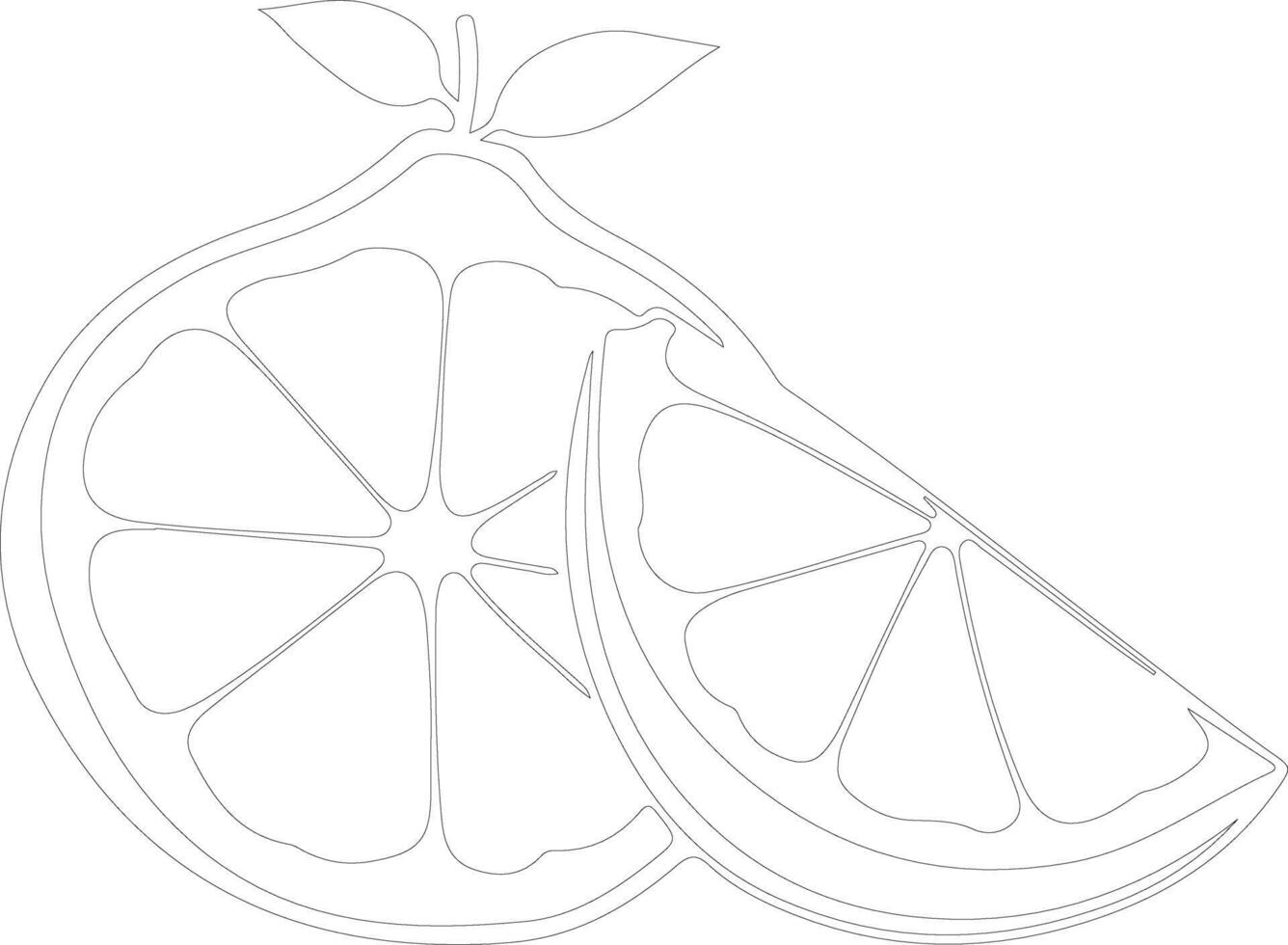 pomelo  outline silhouette vector