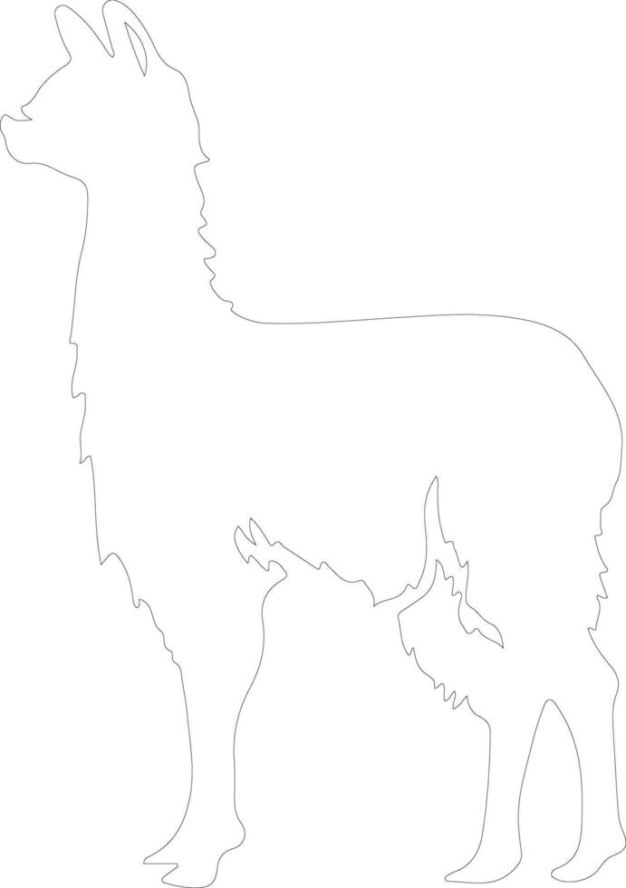 llama  outline silhouette vector