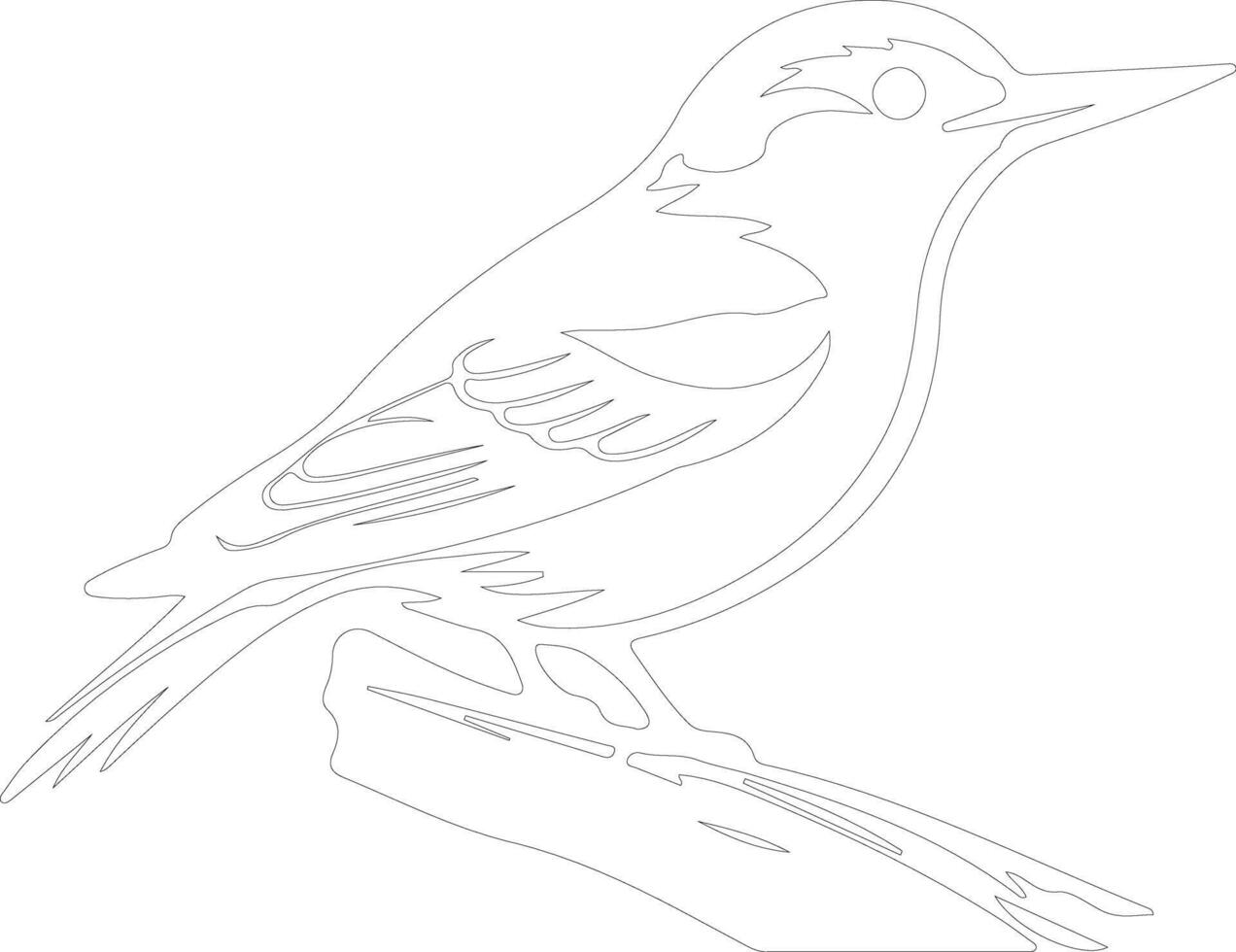 white-breasted nuthatch  outline silhouette vector