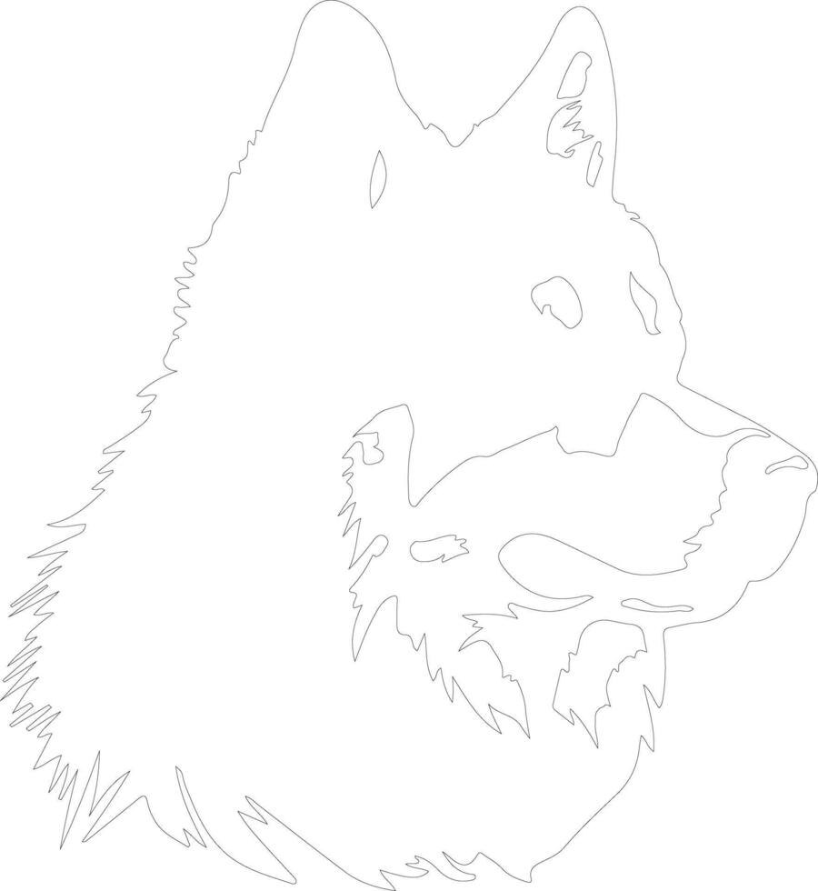 Alaskan Malamute  outline silhouette vector