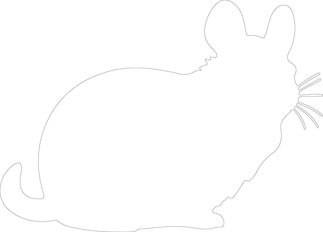 chinchilla outline silhouette vector