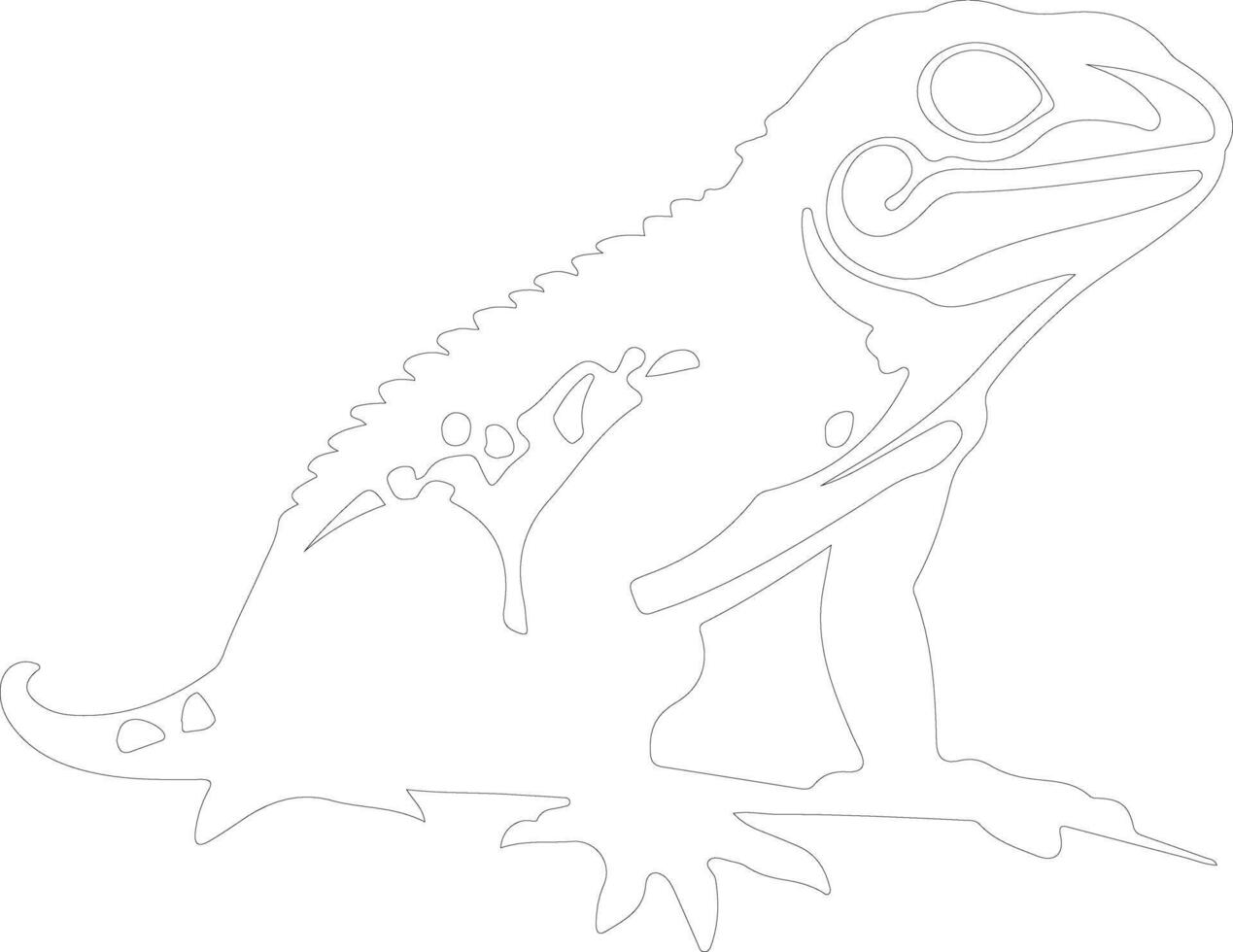 collaredlizard outline silhouette vector