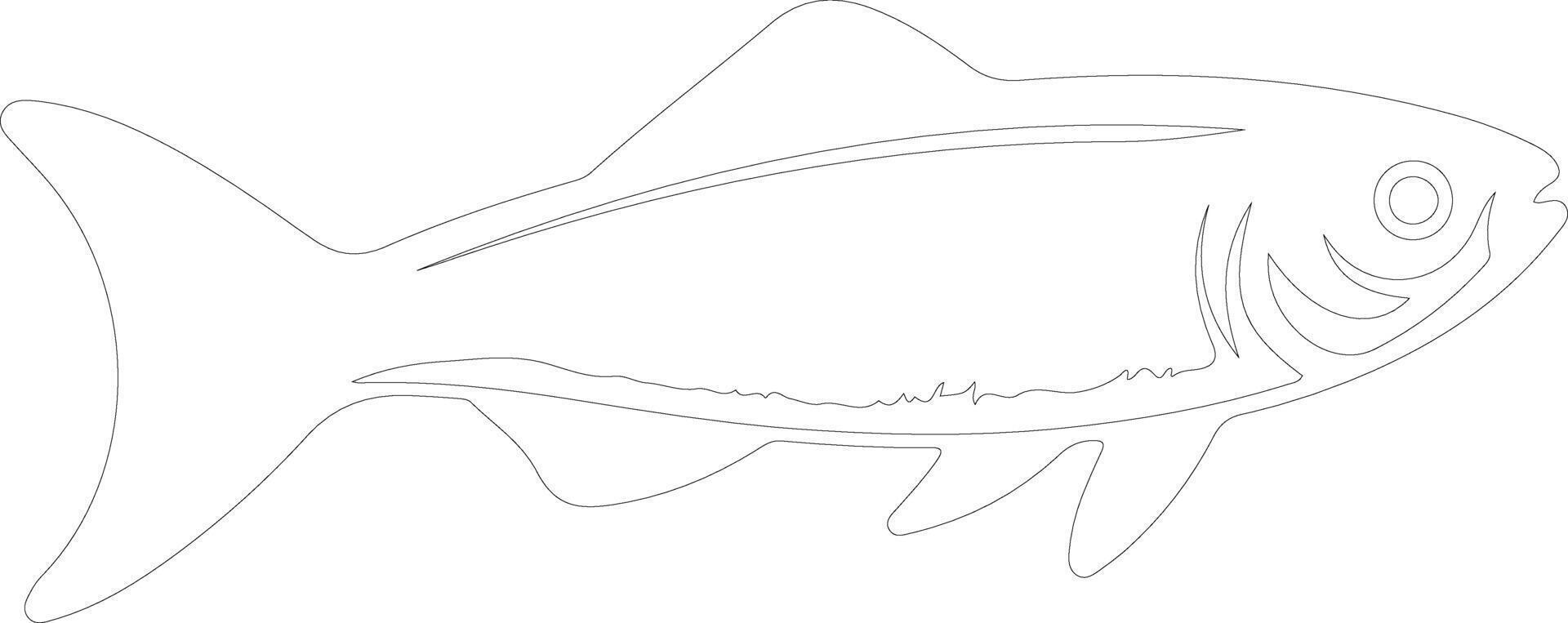 minnow  outline silhouette vector