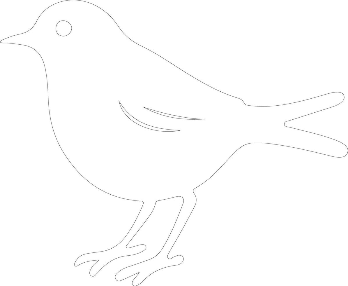 American Robin  outline silhouette vector