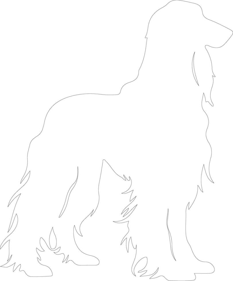 Afghan Hound  outline silhouette vector